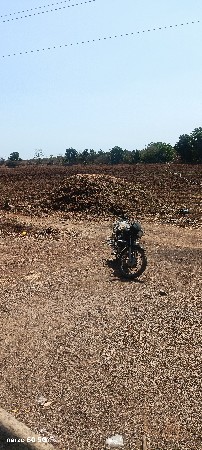 માંડવી નો ભૂકો વેચવાનો છે
