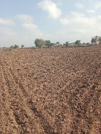 દેવશી ભાઇ