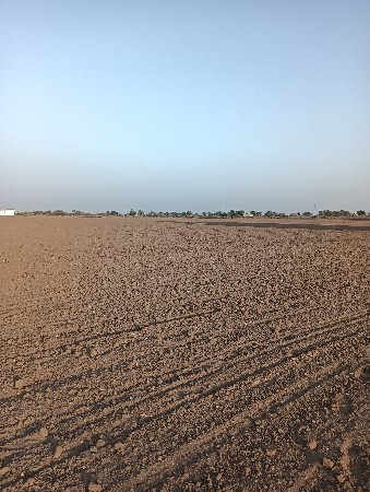 ભાગ્યું આપવાનું છે.