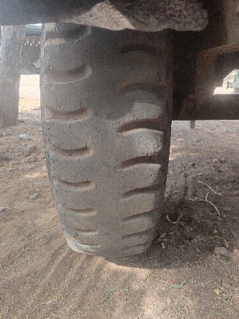 ટોલી વેસવાનીછે