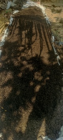 વર્મિકંમપોષ્ટ