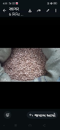 મગફળી નું બિયારણ વેચવાનું છે