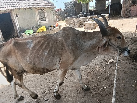 વધારા નો છે એટલે