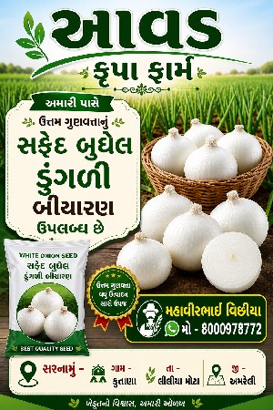 ડુંગળીનુ બીયારણ વેચવાનુ છે