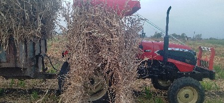 જુવાર વેચવા ની છે
