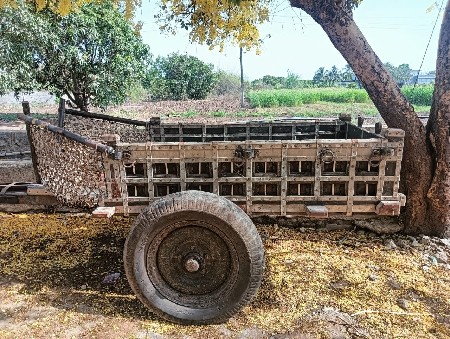 ભાવેશ ભાઈ મોરી 92777 57082