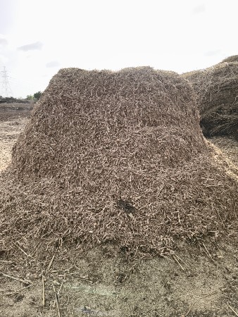 પીરી‌ પટી ડુંગરી દેવાની છે