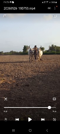 ઠાલા ફોર મ સાલે