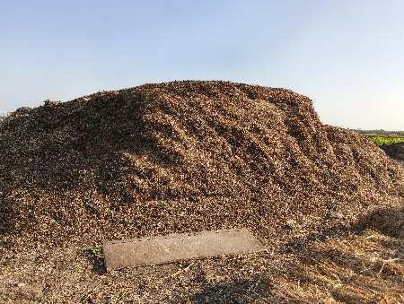 મોગોટુ કોરું વેચવાનુ છે