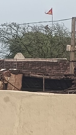 છાણીયું ખાતર
