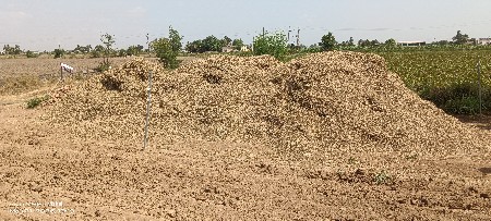 અડદ ભુકો વેસવનો છે