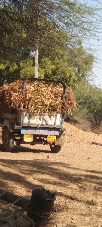 7,,5. સાડા સાતનુ અંજીર