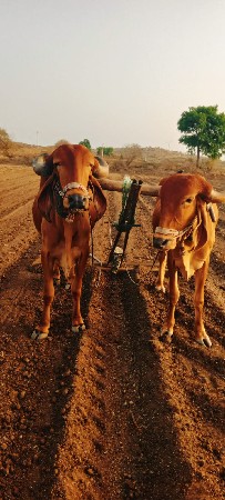 +91 88496 90705 આમ કોલ કરવો