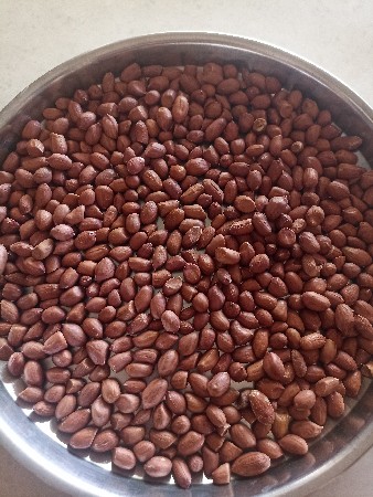 જી 20 માંડવી ના દાણા વેચવા ના છે