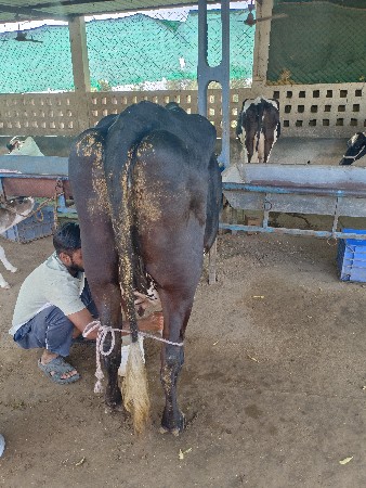 બીજું વેધર ગયા