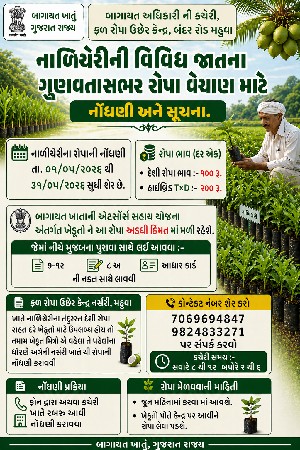 નાળિયેરીના રોપા રાહતદરે મેળવો