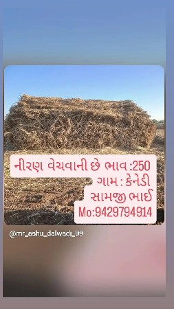 નીરણ