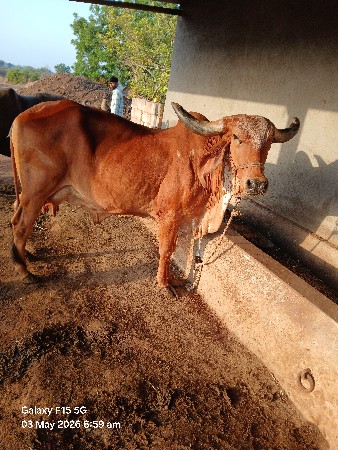 વેચવાની છે