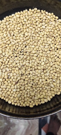 soyabin