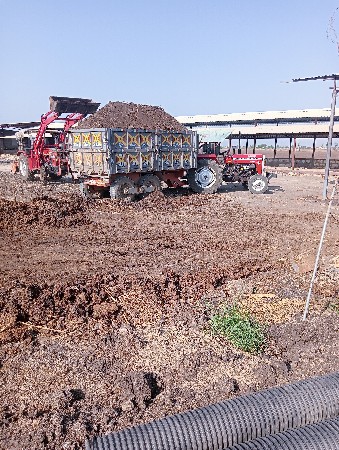 છાણીયું ખાતર ના ફેરા માટે મડો