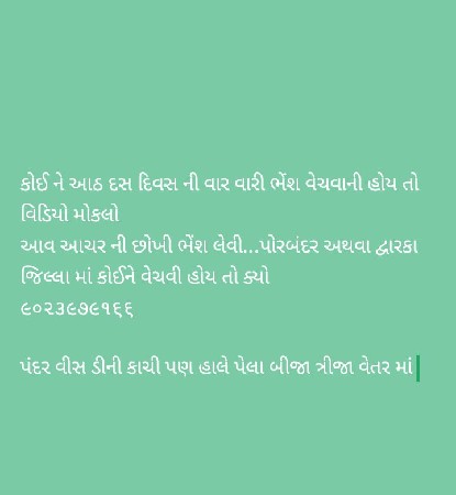ભેંશ