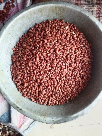 મગફળી નું બિયારણ વેચવાનું છે