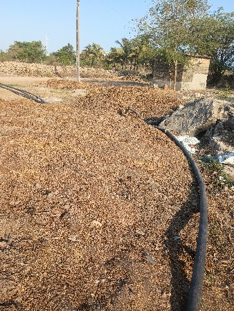 છાણીયું ખાતર