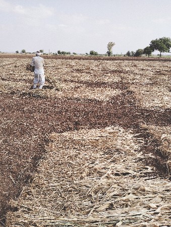 નીરણ વેશવા ની સે