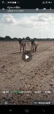 ગોધલાવેચવાનાછે