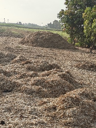 લસાસન નુ લોદર