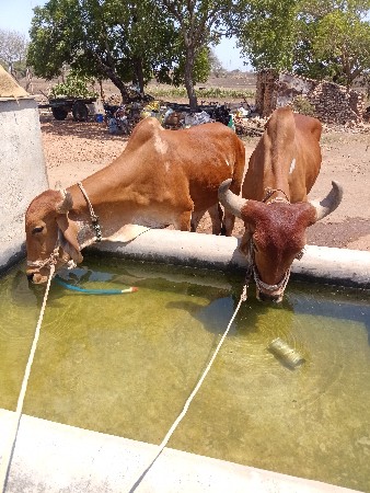 વેચવા છે તાત્કાલિક બધીજવાબદારીથી હા