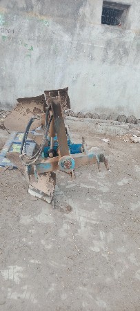 palti palav