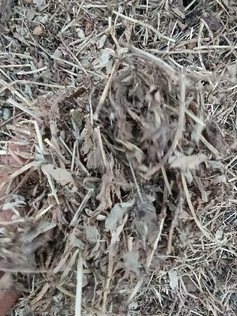 મગોટુ વેચવાનું છે.