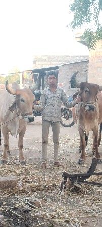 એક વાવણીવાવાવેછે