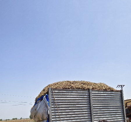 “મગફળીનો ભૂકો વેચવાનો છે.”