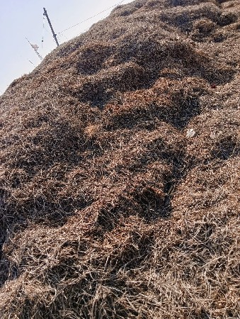 કોરો ભૂકો વેચવાનો છે