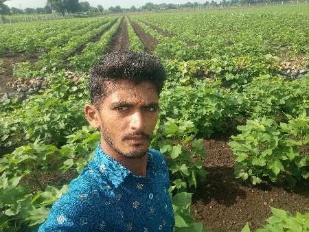 અમારે જમીન વાવવા આપવીછે