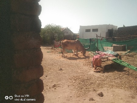 નાના 13000 રૂપિયા