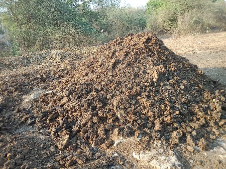 દેશી સાણીયુ ખાતર વેચવાનું છે
