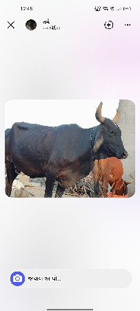 વેચવાની