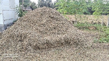 અડદનો ચારો વેચવાનું છે