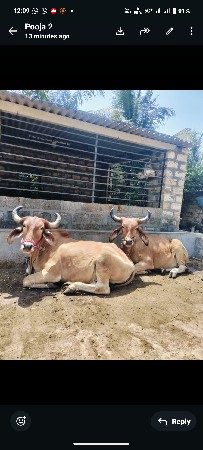 99047 35540