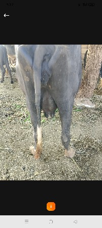 9662222901