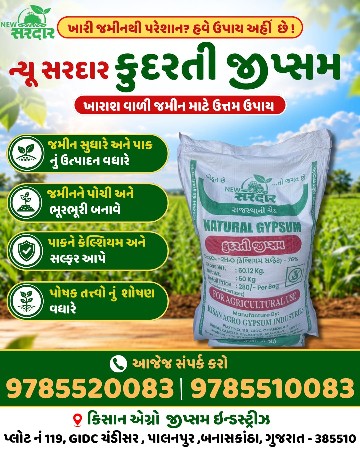 રાજસ્થાનનું કુદરતી જીપ્સમ