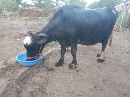 વેચવાની છે