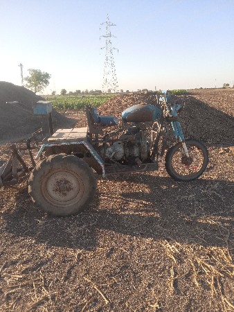 સનેડો