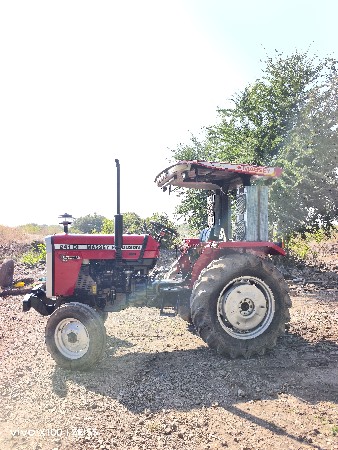 massey 241 daynatrack