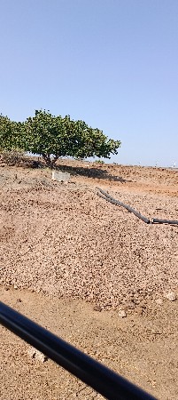ખાતર વેચવાનું સે