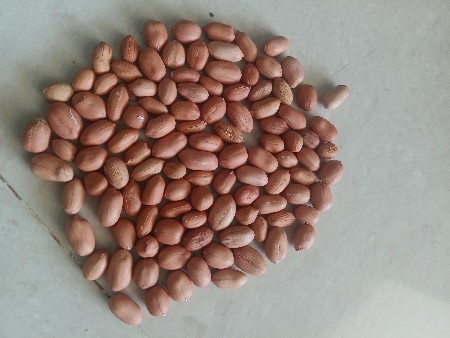 66 નંબર માંડવી વેચવાની છે