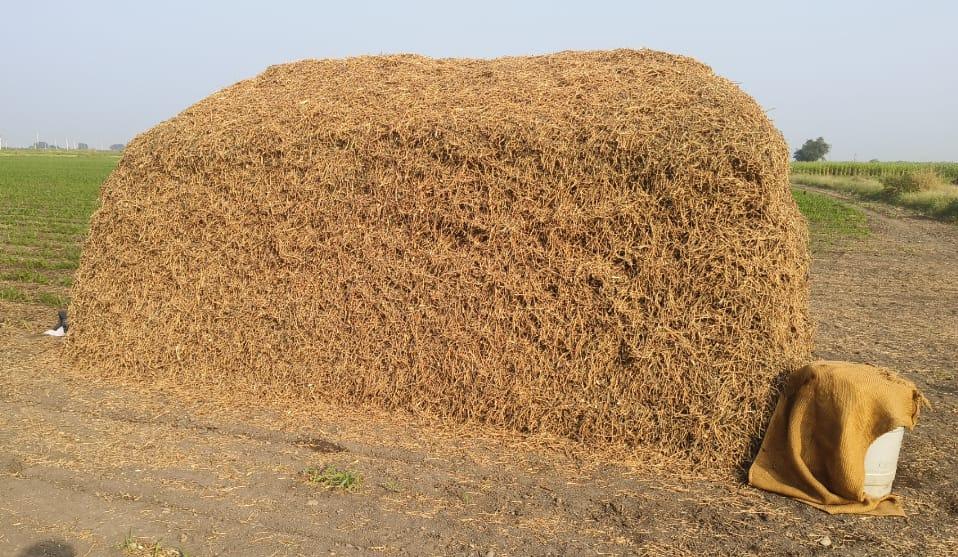 માંડવી નો ભૂકો વેસવાનો સે.